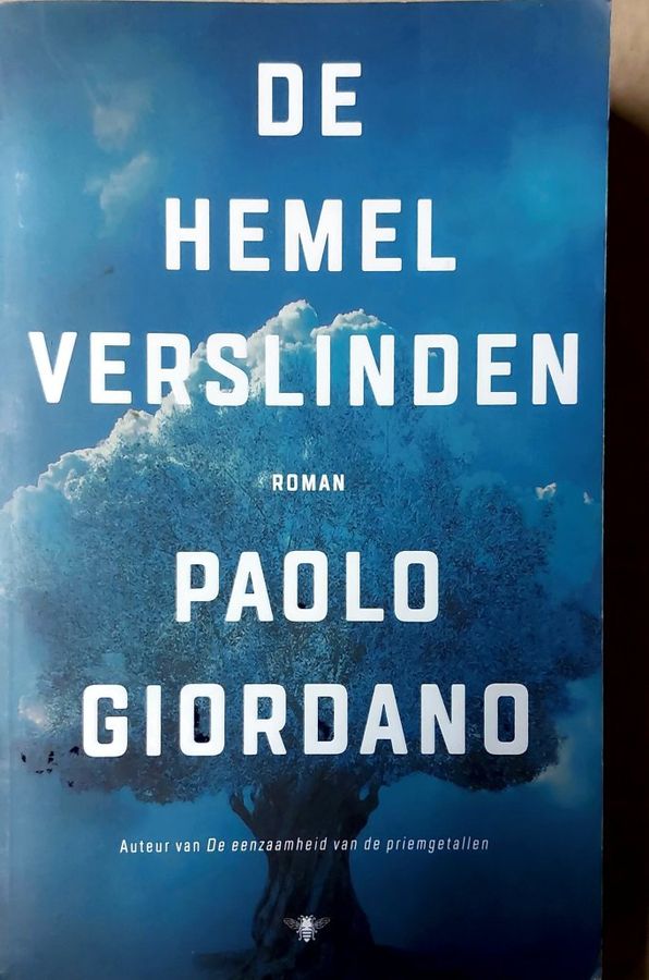 Boekomslag van De hemel verslinden